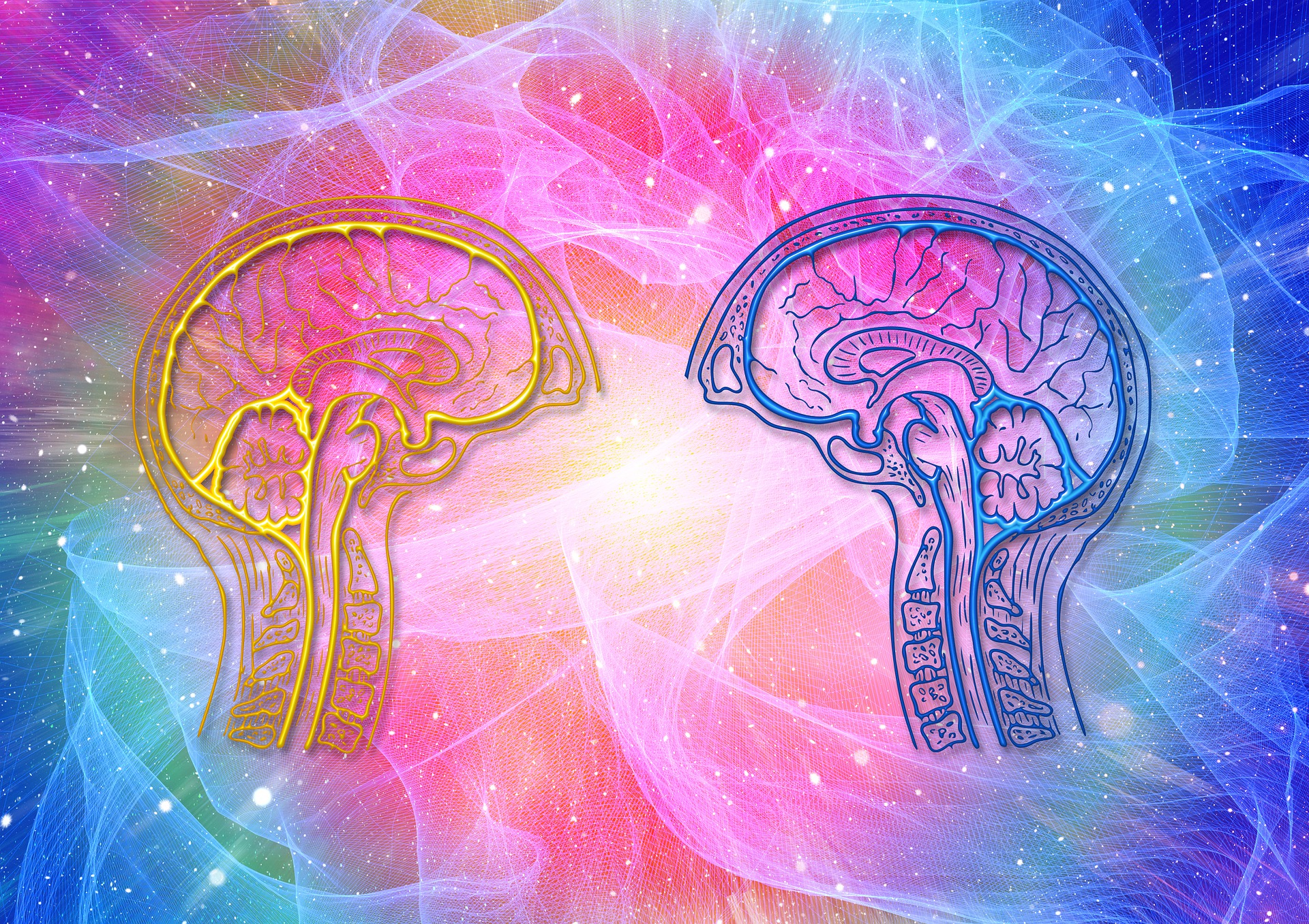 Creier vs. Minte